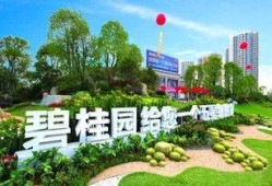 碧桂园爆料最新消息洪雅