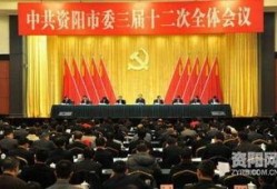 四川资阳爆料新闻最新,最新爆料揭示惊人真相，事件进展追踪