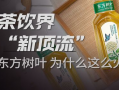 东方树叶最新爆料新闻报道,揭秘茶叶界的最新爆料