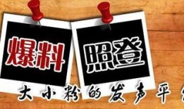 大渝网爆料台最新爆料,最新劲爆爆料来袭，揭秘背后惊人真相！