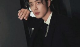 刘大锤最新爆料一览,揭秘娱乐圈幕后真相