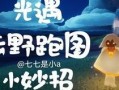 爱可可爆料视频大全最新,视频大全精彩瞬间大盘点