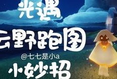 爱可可爆料视频大全最新,视频大全精彩瞬间大盘点