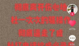 张伦巴最新爆料,揭秘娱乐圈不为人知的秘密