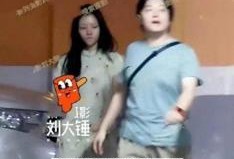 刘大锤最新爆料任敏漫画,刘大锤独家爆料揭秘幕后故事