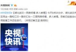 武汉最新新闻爆料事件,神秘事件引发社会关注